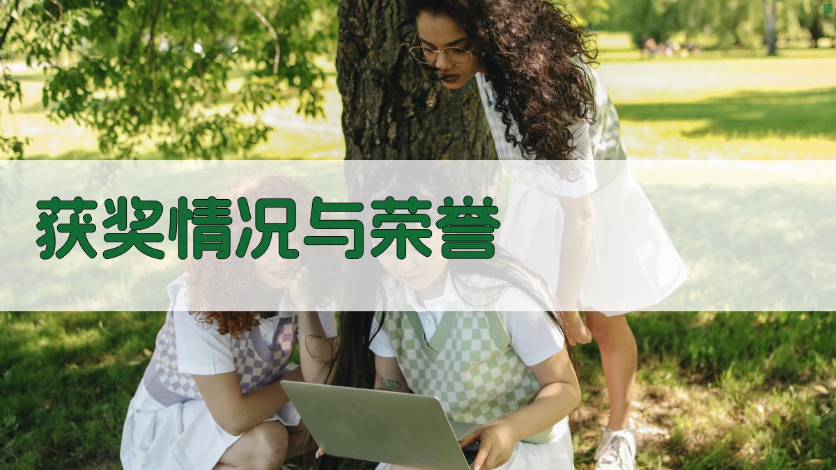 获奖情况与荣誉 图3