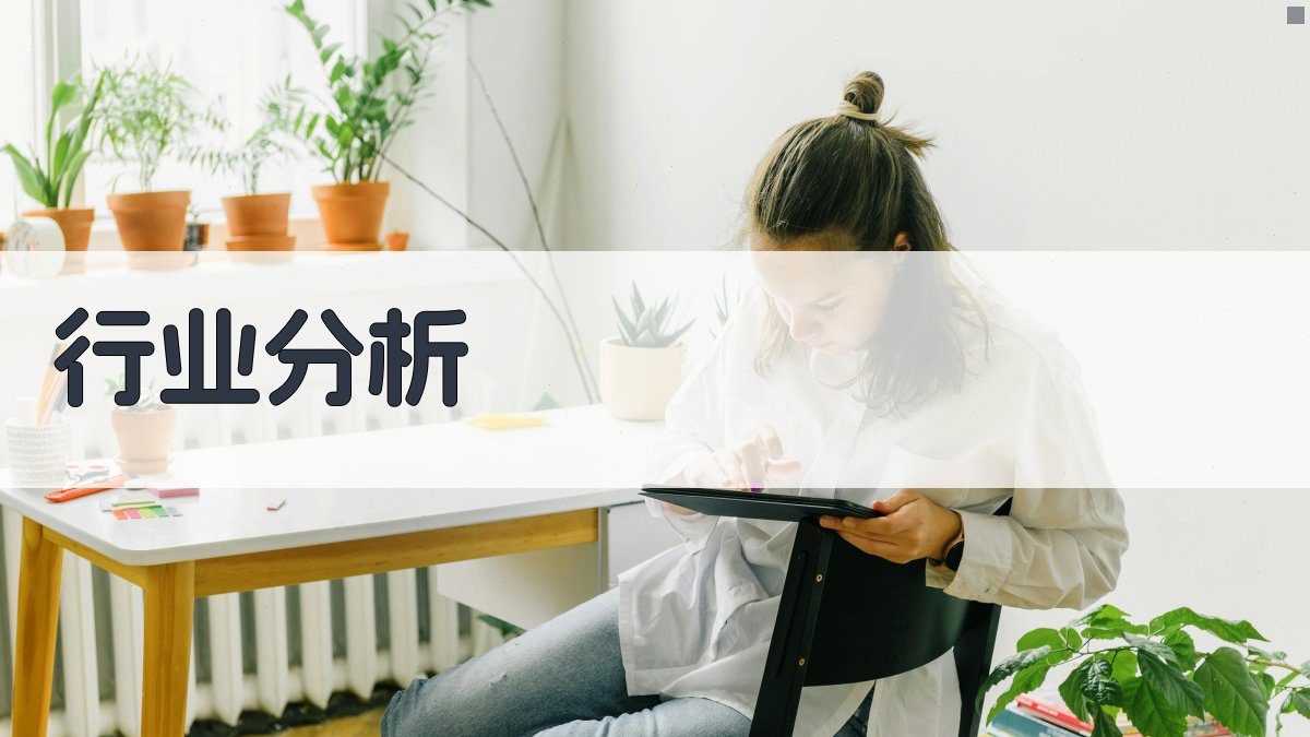 行业分析 图2