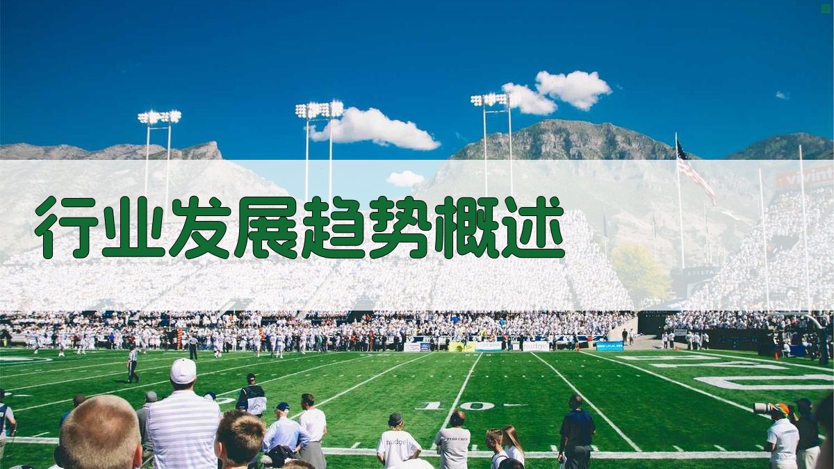 行业发展趋势概述 图1