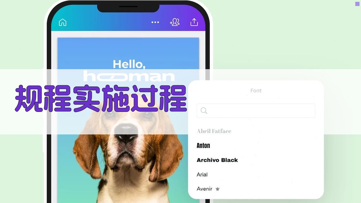 规程实施过程 图2