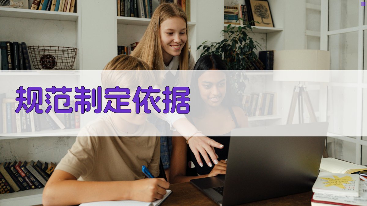 规范制定依据 图1