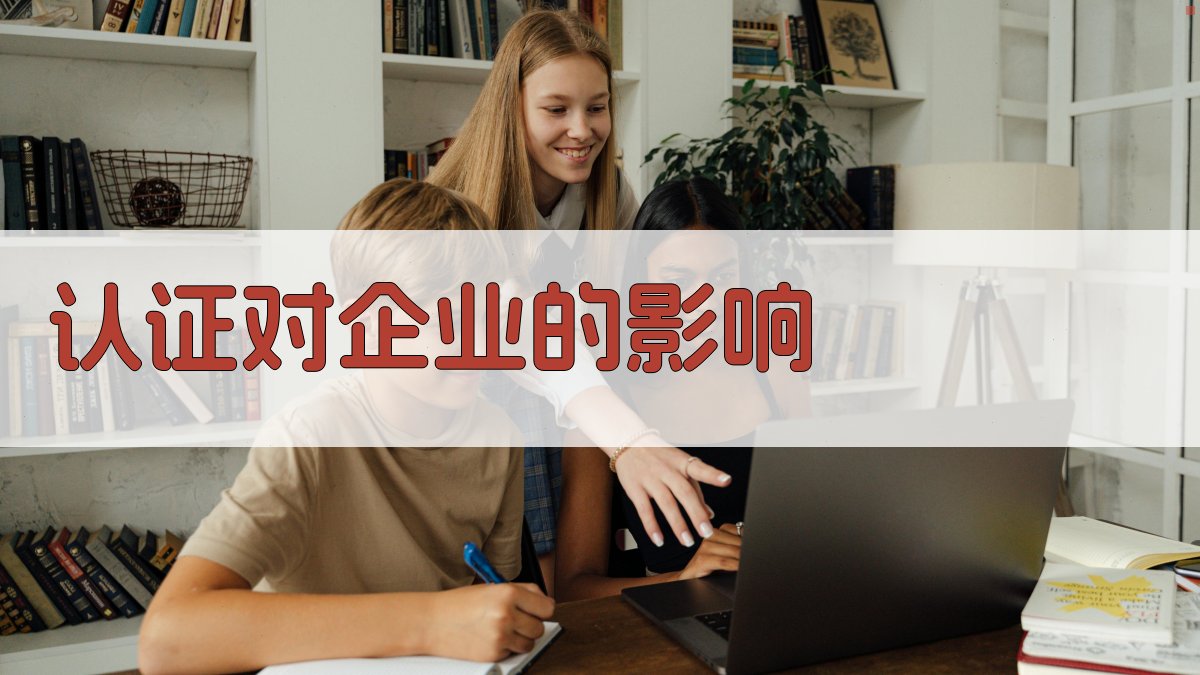 认证对企业的影响 图3