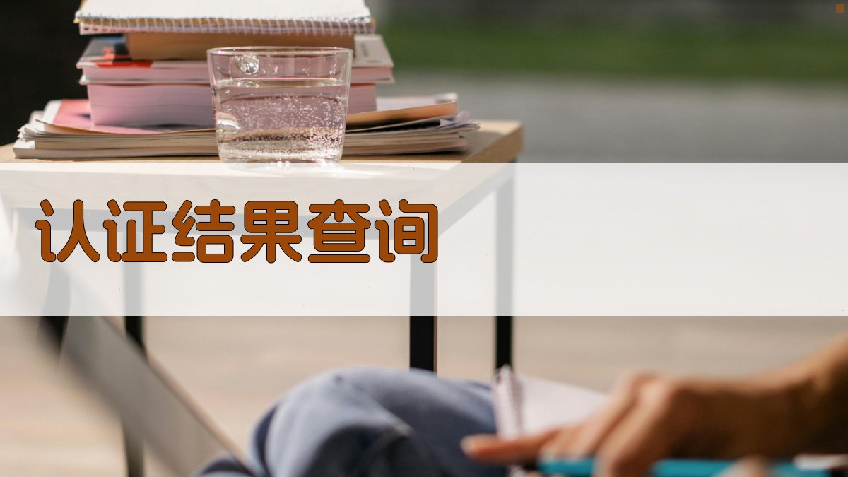 认证结果查询 图2