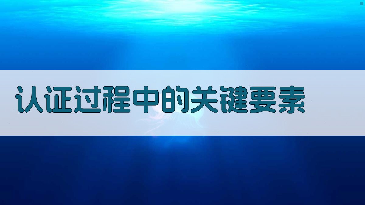 认证过程中的关键要素 图1