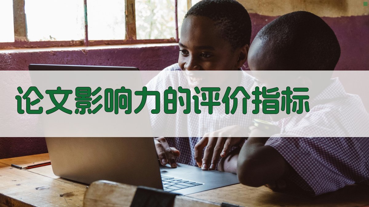 论文影响力的评价指标 图2