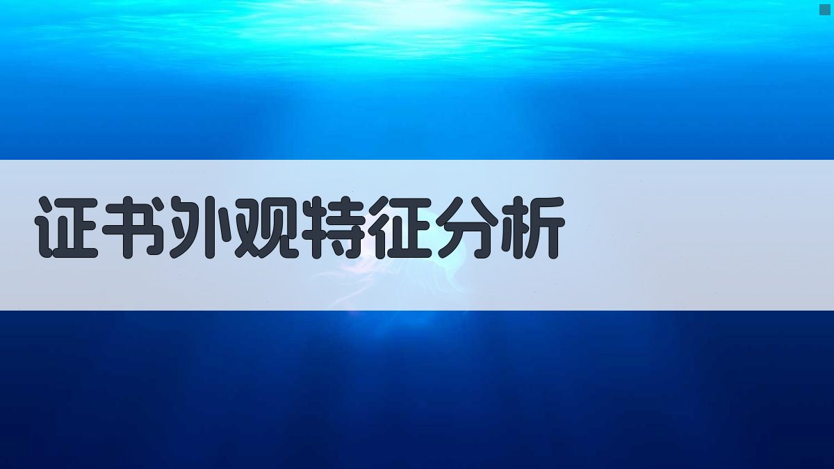 证书外观特征分析 图1