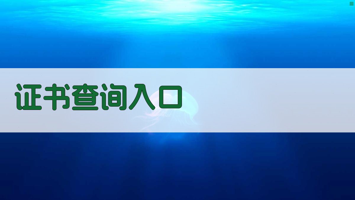 证书查询入口 图1