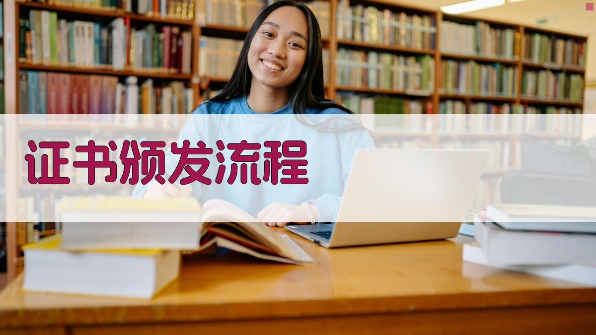 证书颁发流程 图2