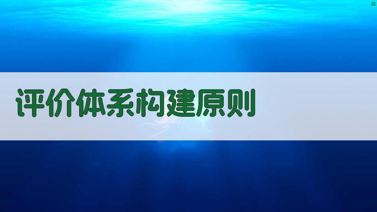 评价体系构建原则 图2