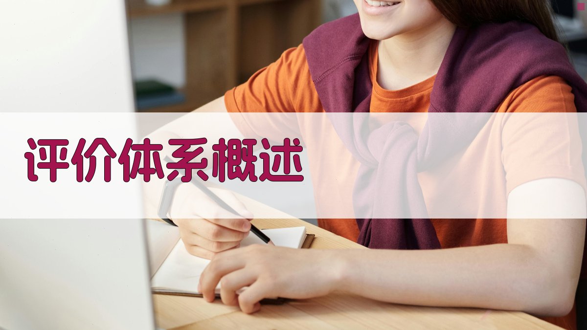 评价体系概述 图1
