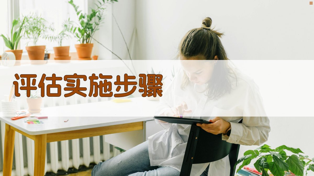 评估实施步骤 图2