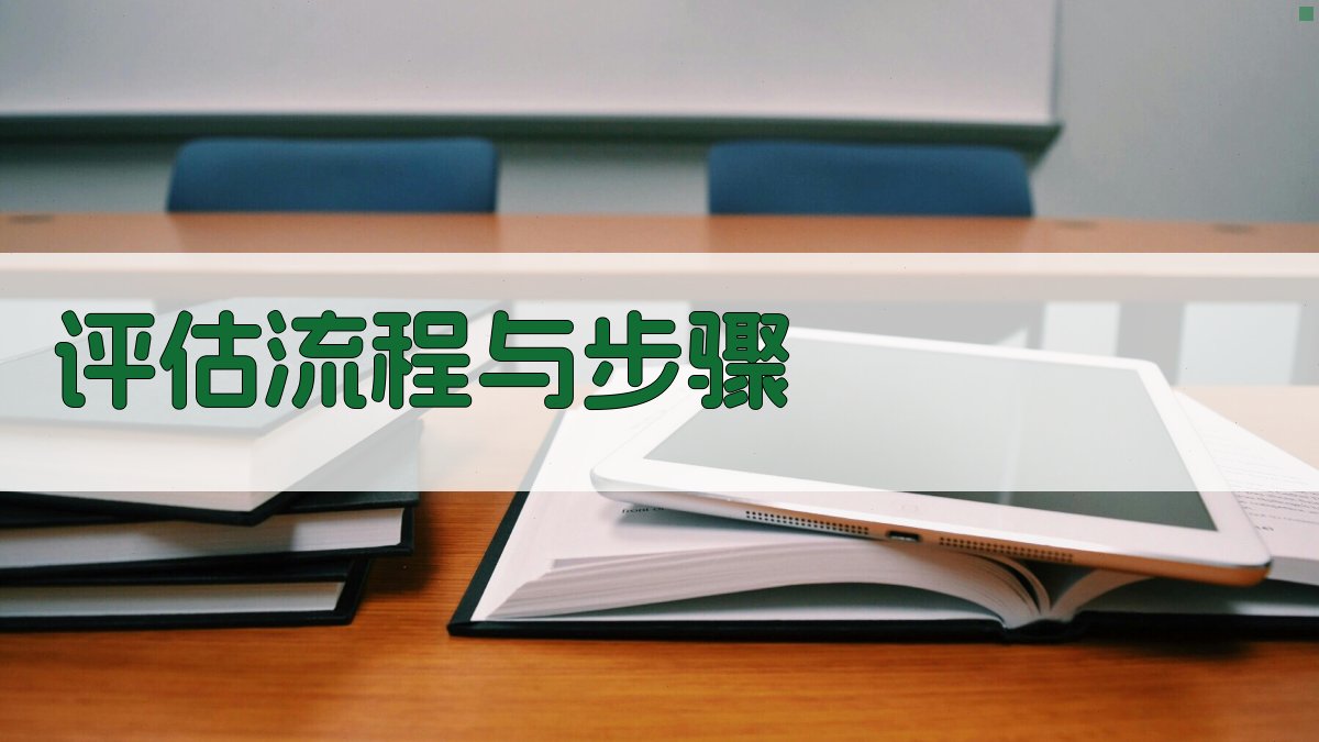 评估流程与步骤 图2