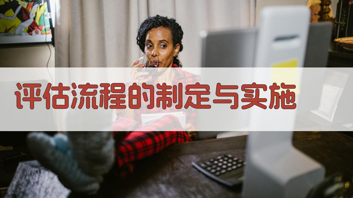 评估流程的制定与实施 图1