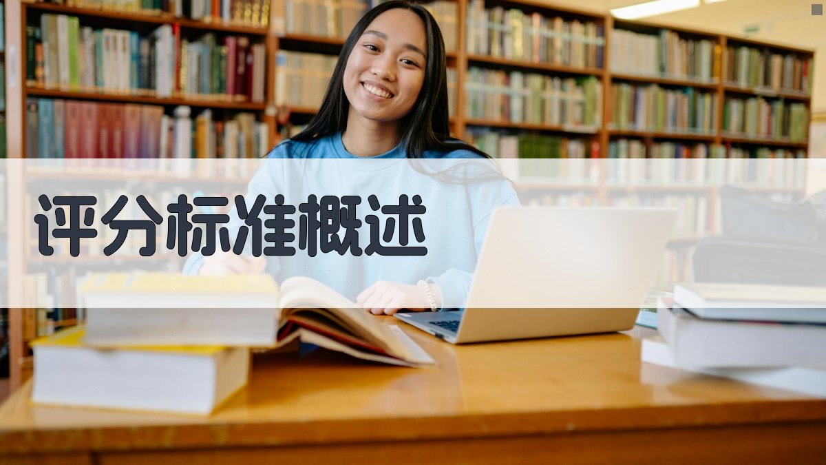 评分标准概述 图1