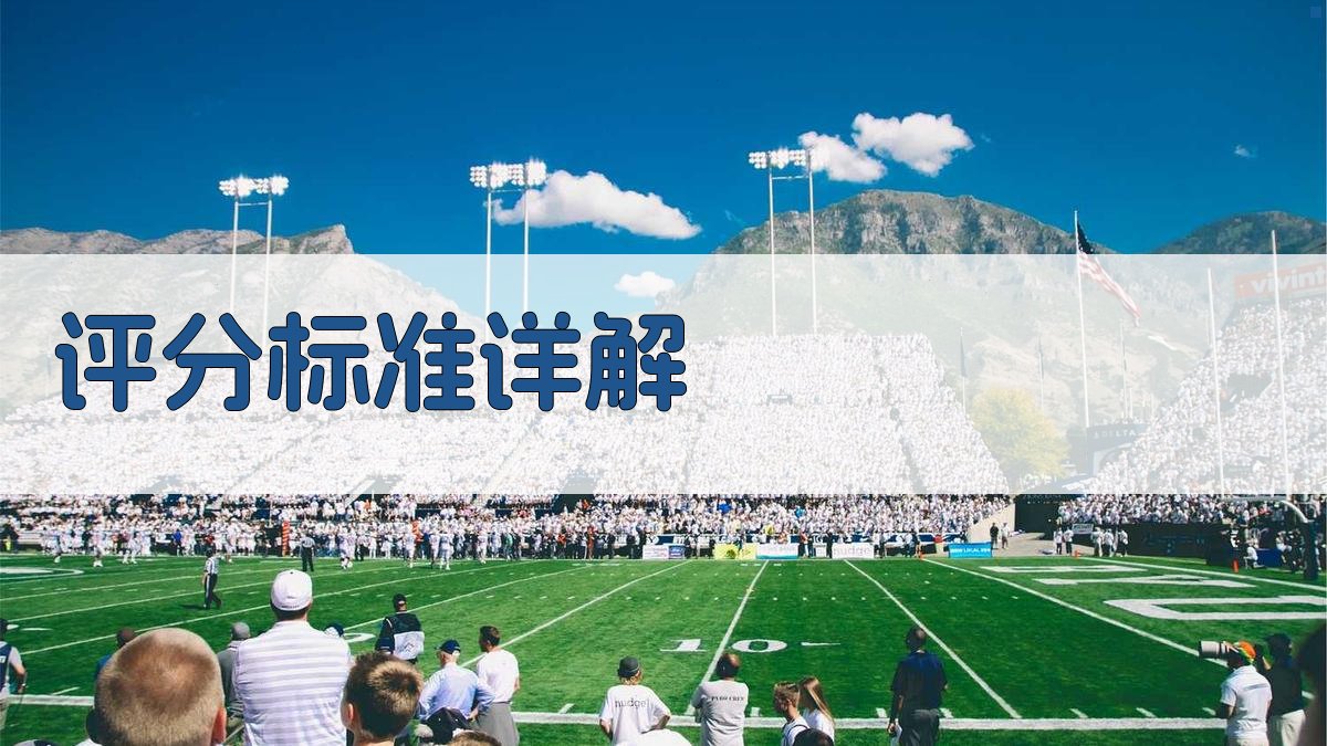 评分标准详解 图2