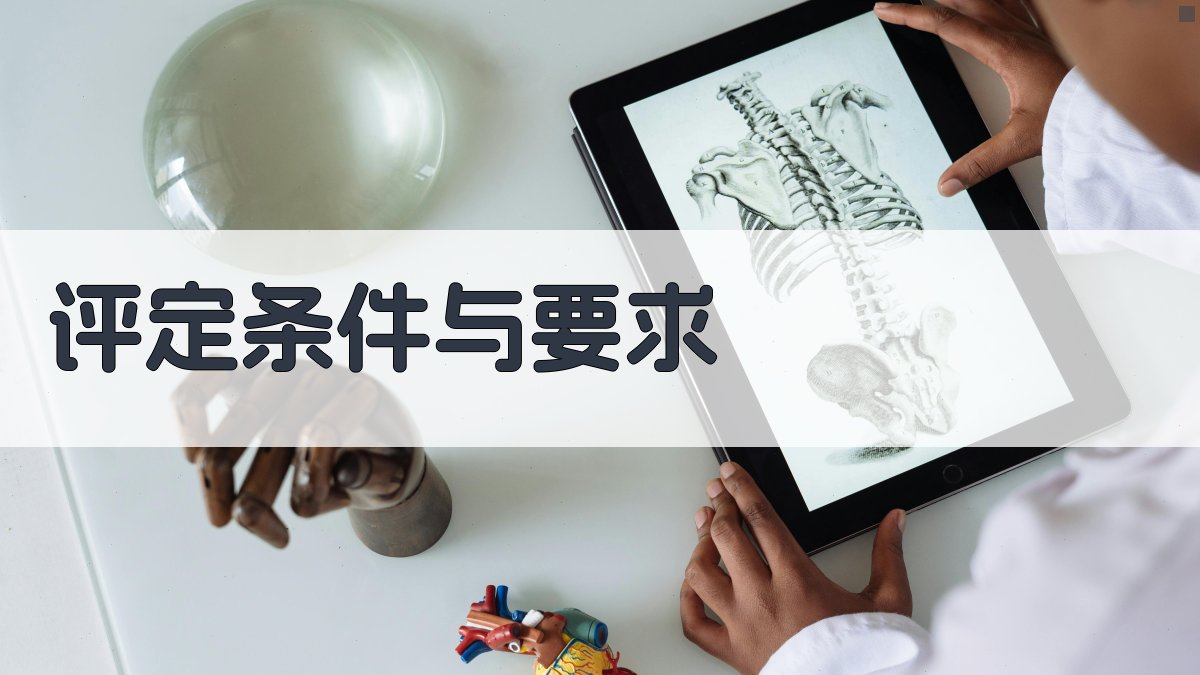 评定条件与要求 图1