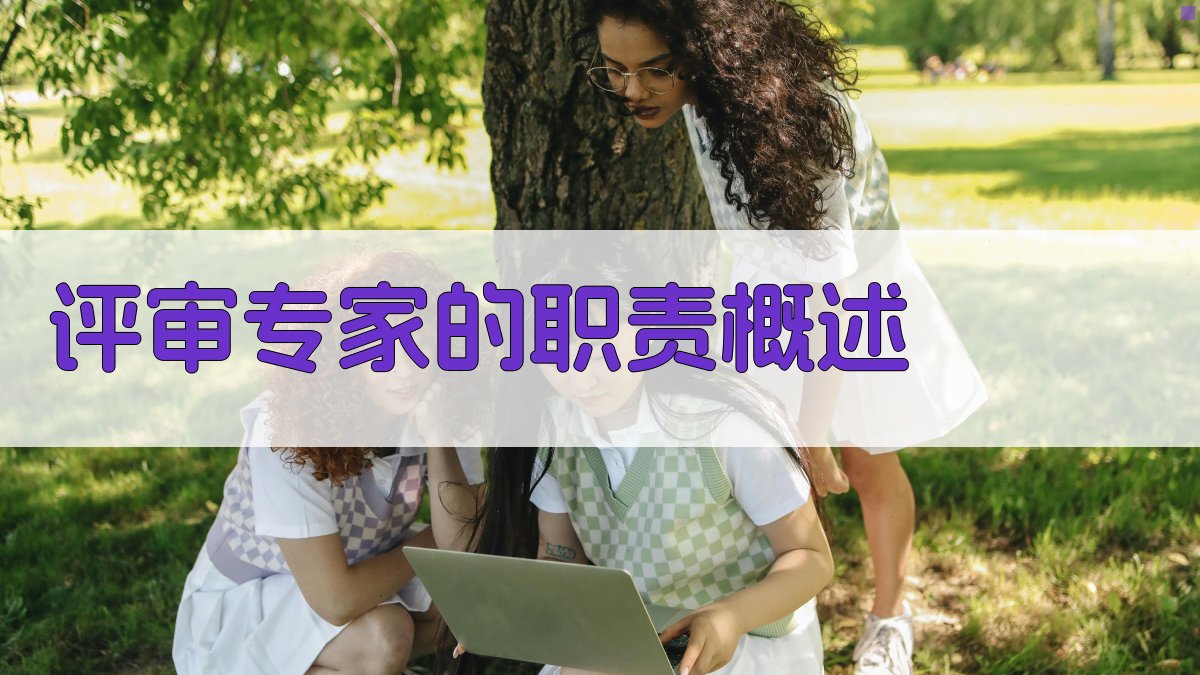 评审专家的职责概述 图1