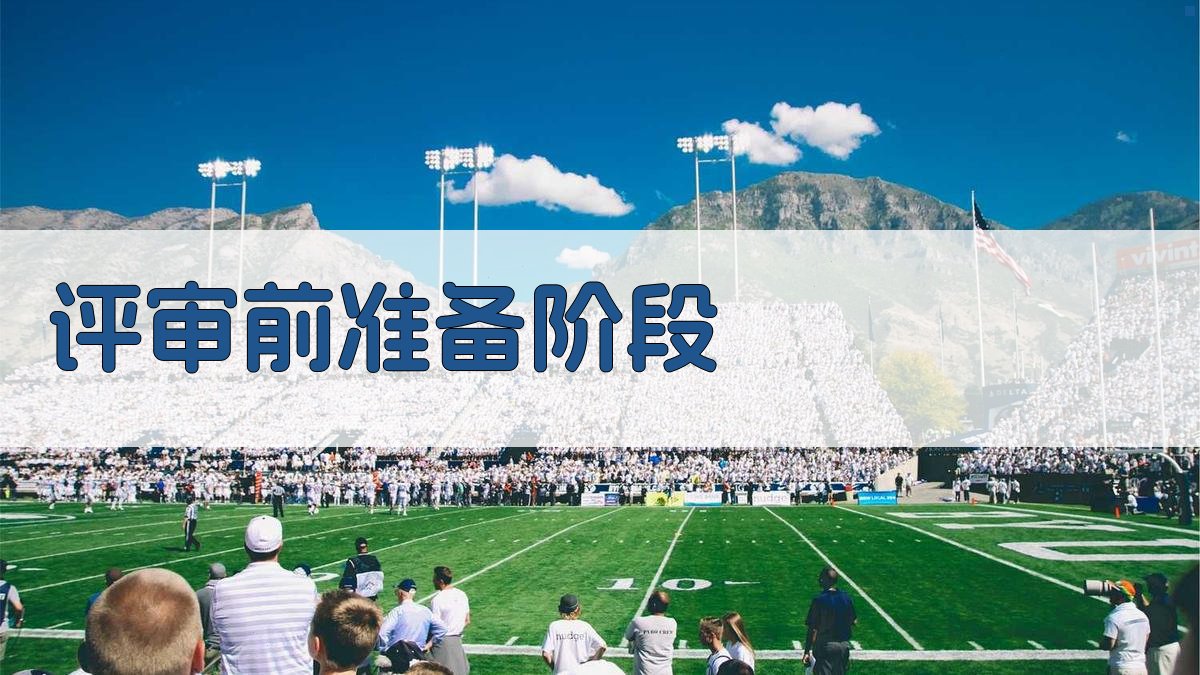 评审前准备阶段 图1