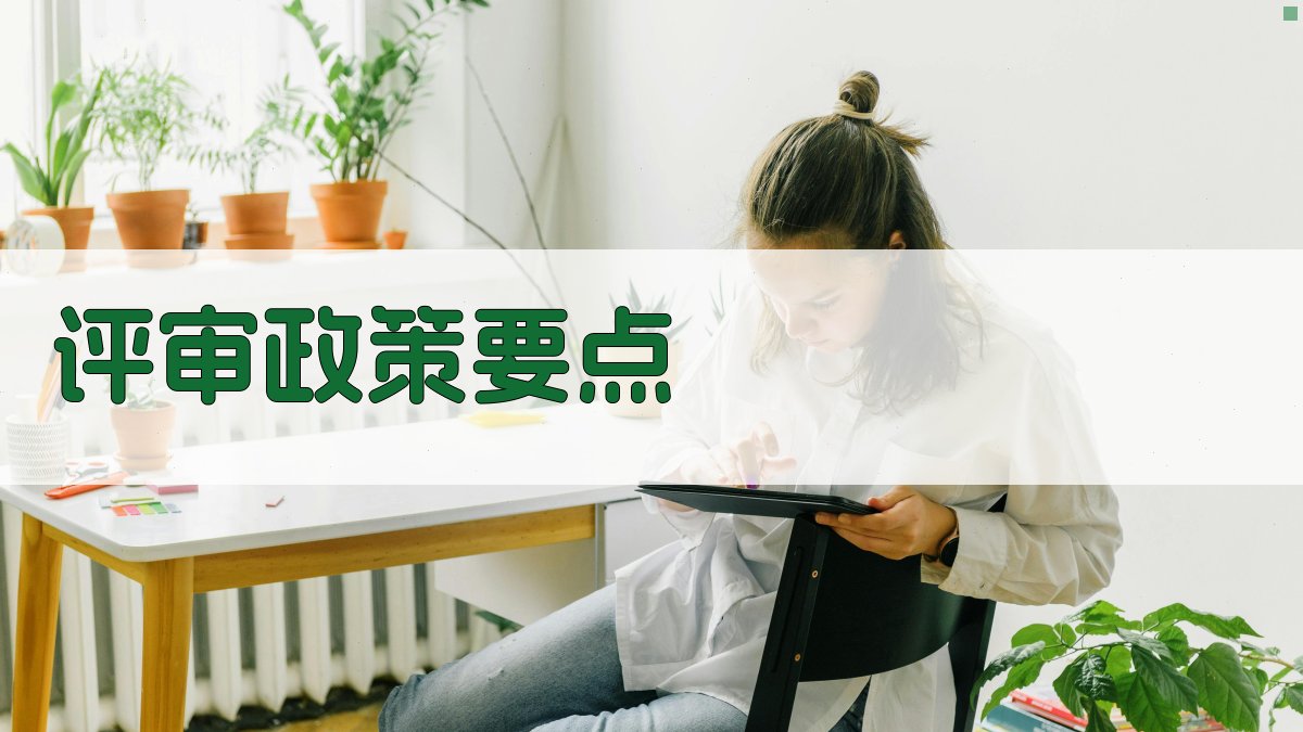 评审政策要点 图1