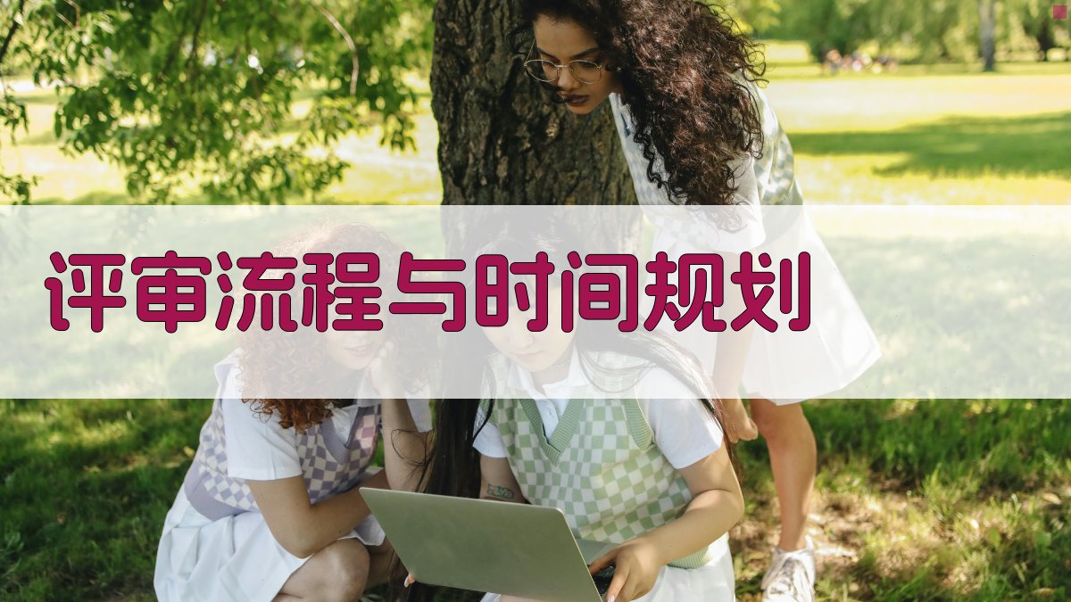 评审流程与时间规划 图4
