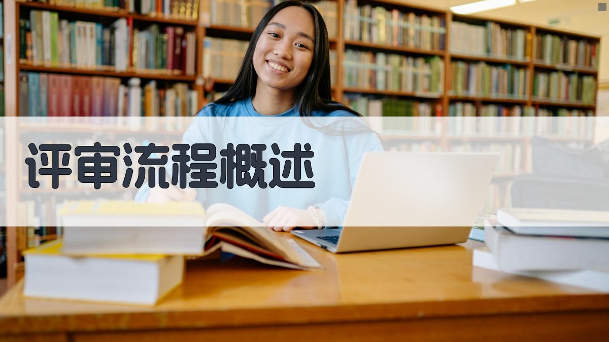 评审流程概述 图1