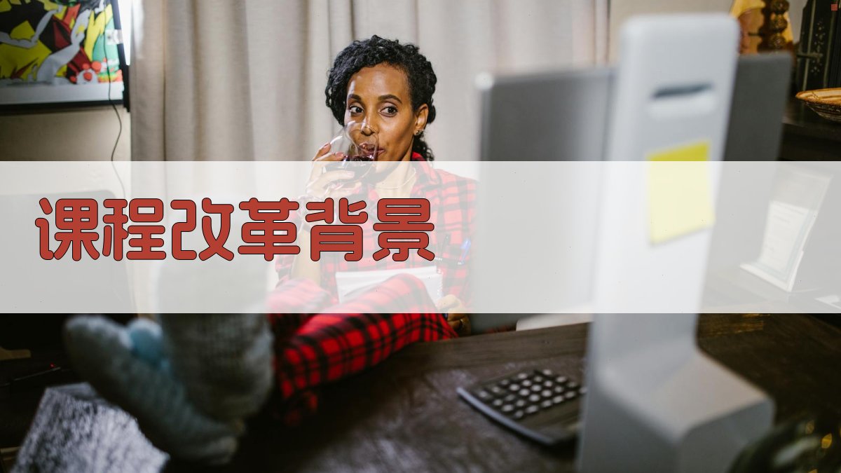 课程改革背景 图1