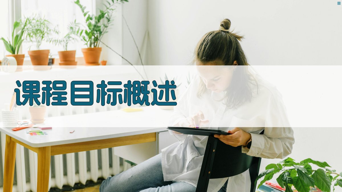 课程目标概述 图1
