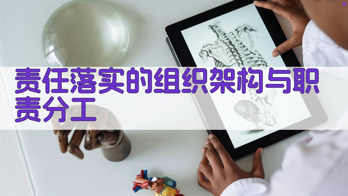 责任落实的组织架构与职责分工 图2