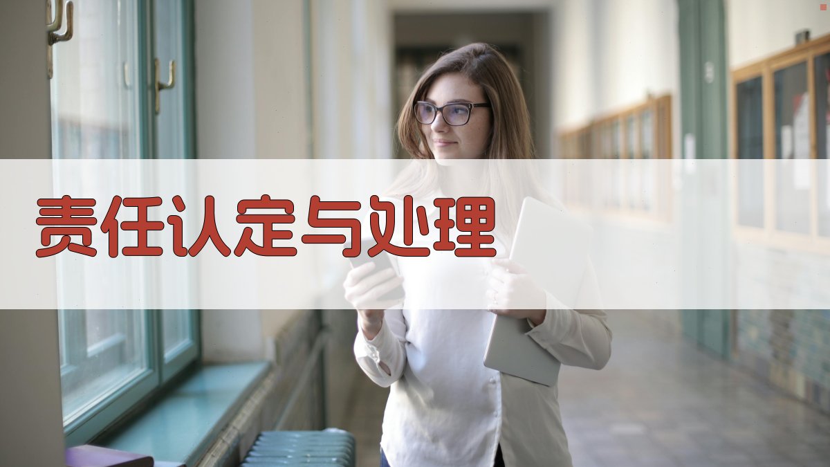 责任认定与处理 图2