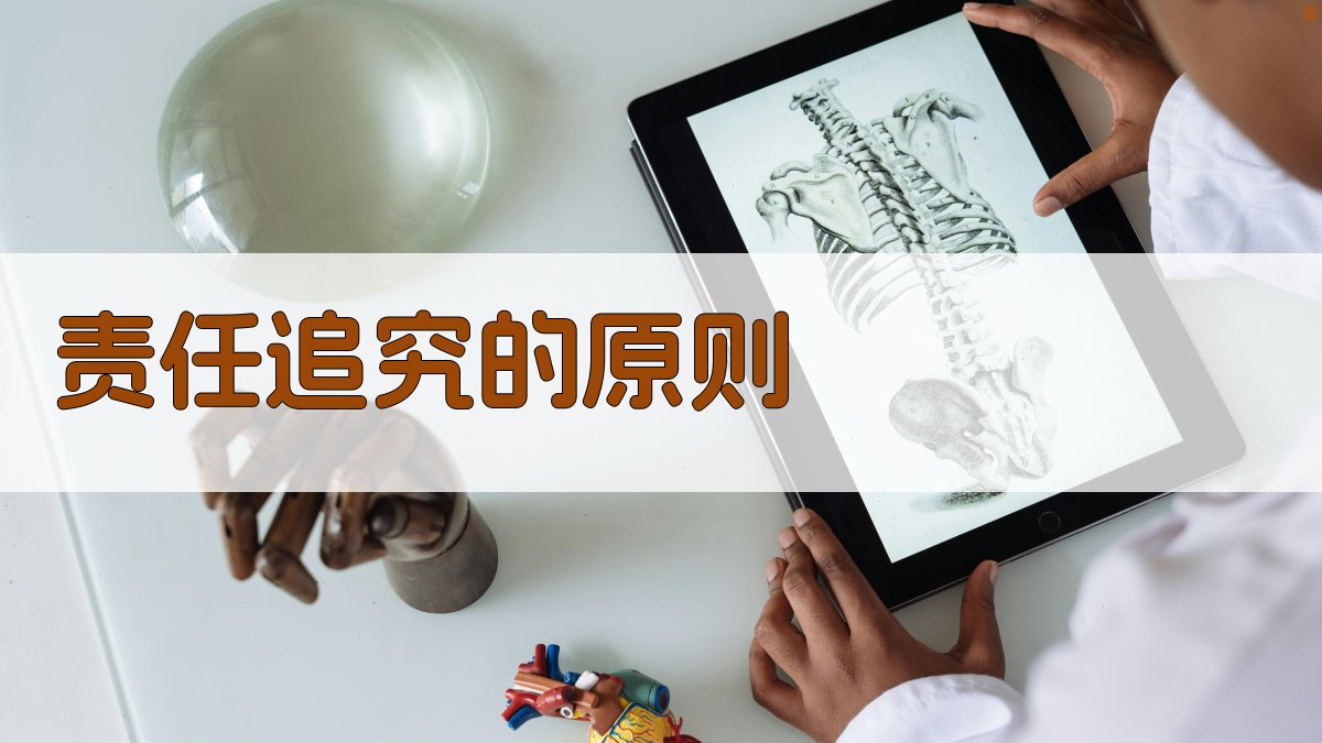 责任追究的原则 图1