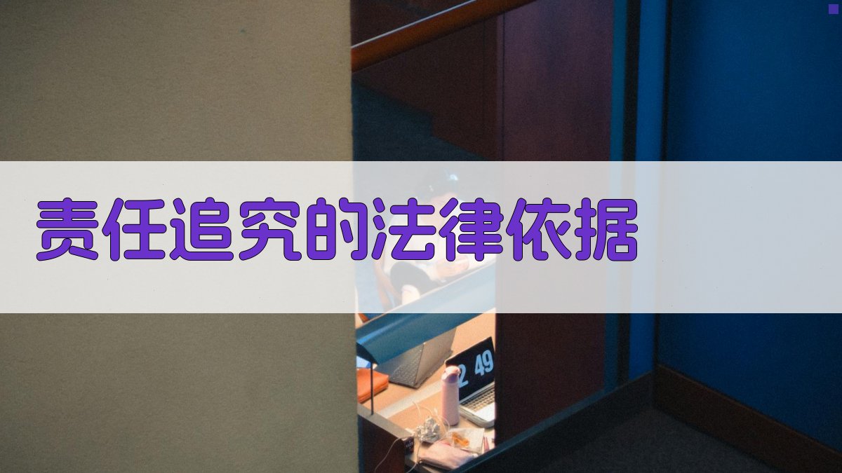 责任追究的法律依据 图3