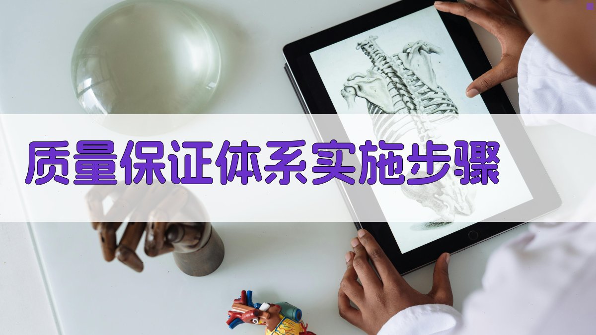 质量保证体系实施步骤 图3