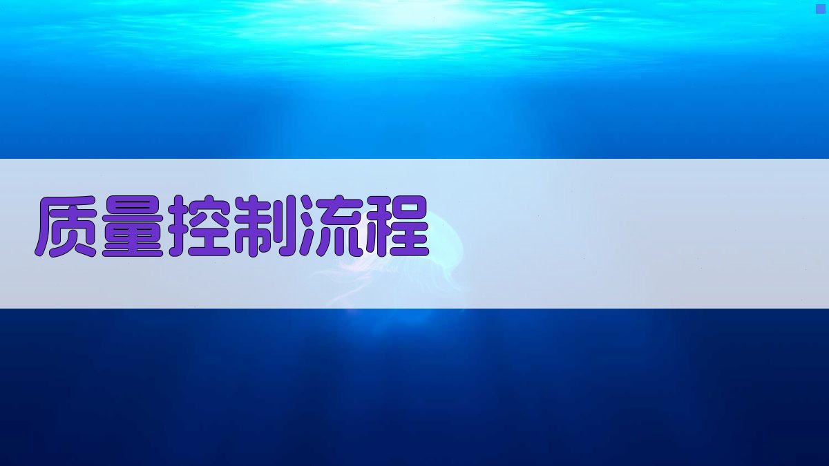质量控制流程 图3