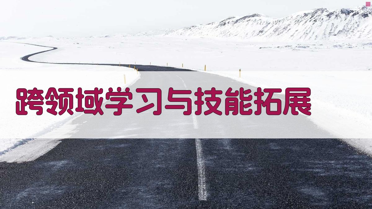 跨领域学习与技能拓展 图3