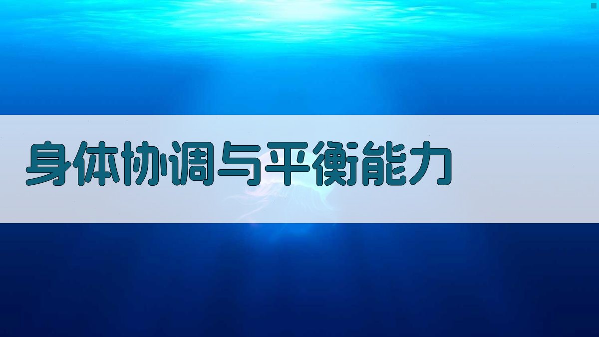 身体协调与平衡能力 图2