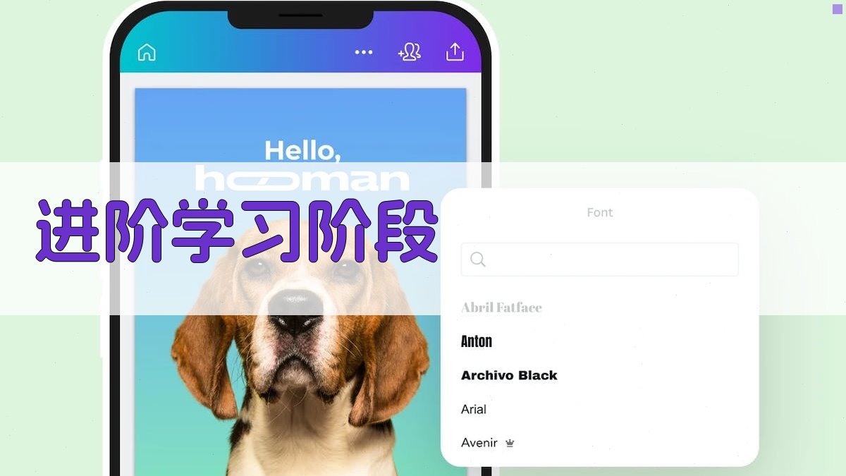 进阶学习阶段 图2