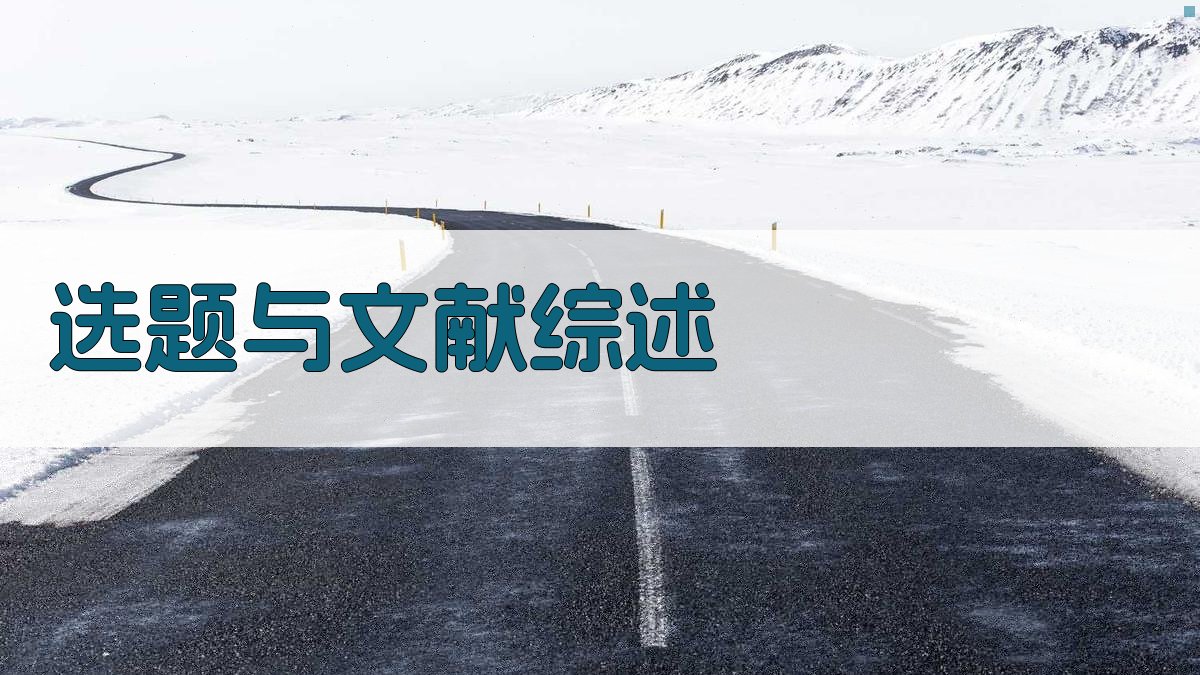 选题与文献综述 图1