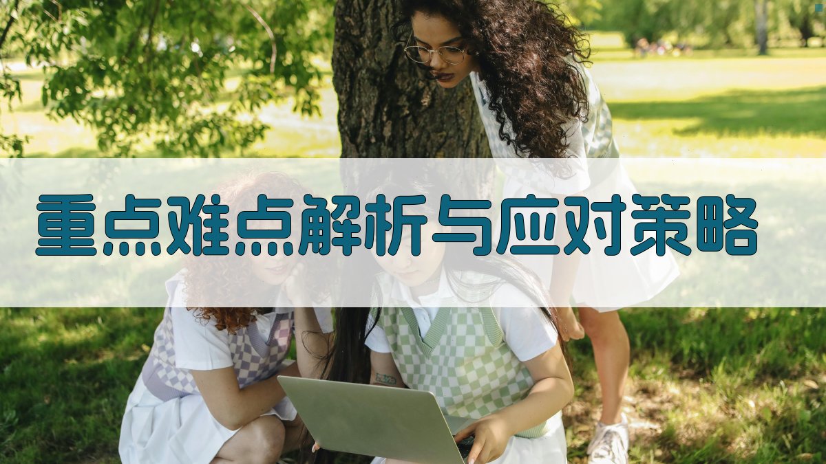 重点难点解析与应对策略 图2
