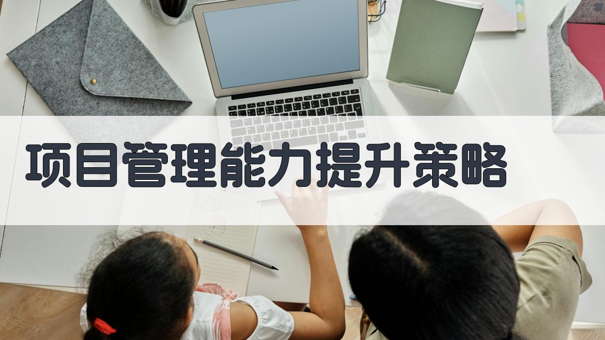 项目管理能力提升策略 图2