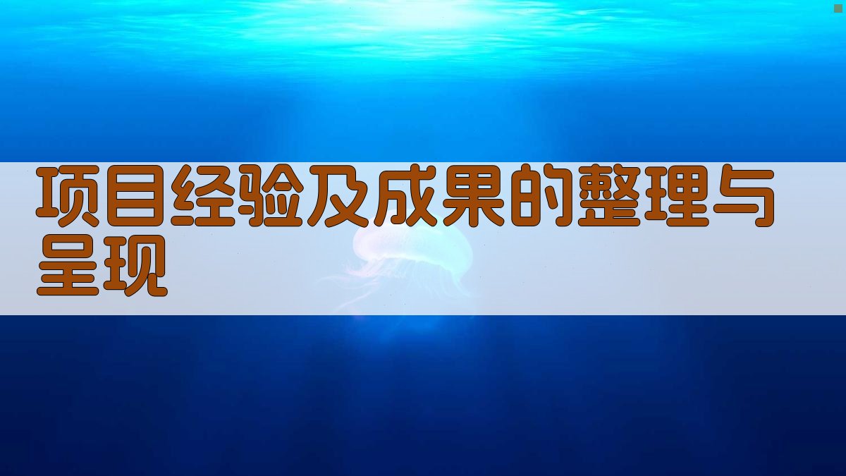 项目经验及成果的整理与呈现 图2