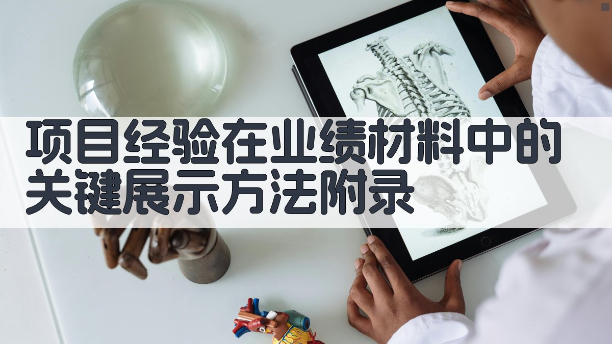 项目经验在业绩材料中的关键展示方法 · 附录 图5