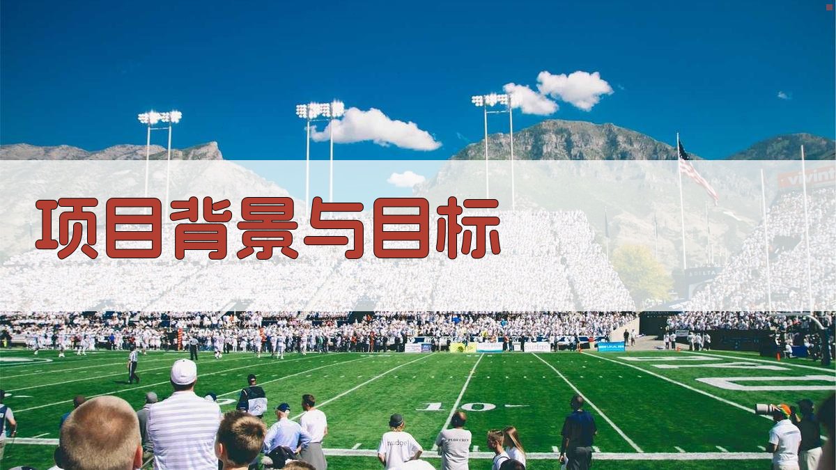 项目背景与目标 图1