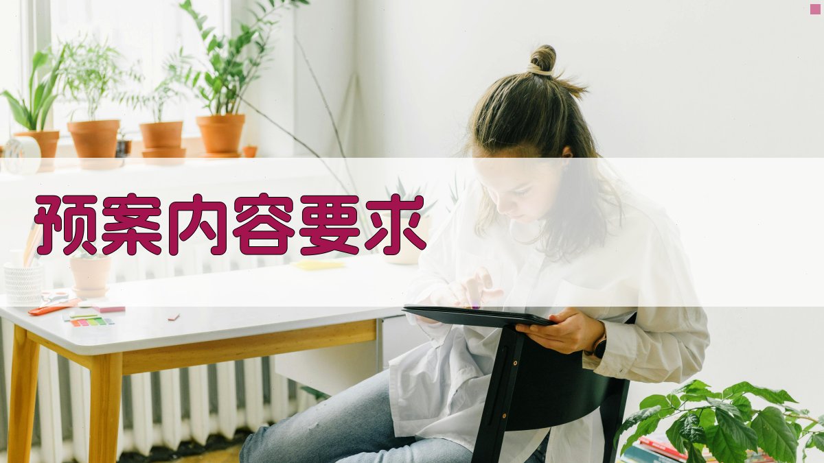 预案内容要求 图2