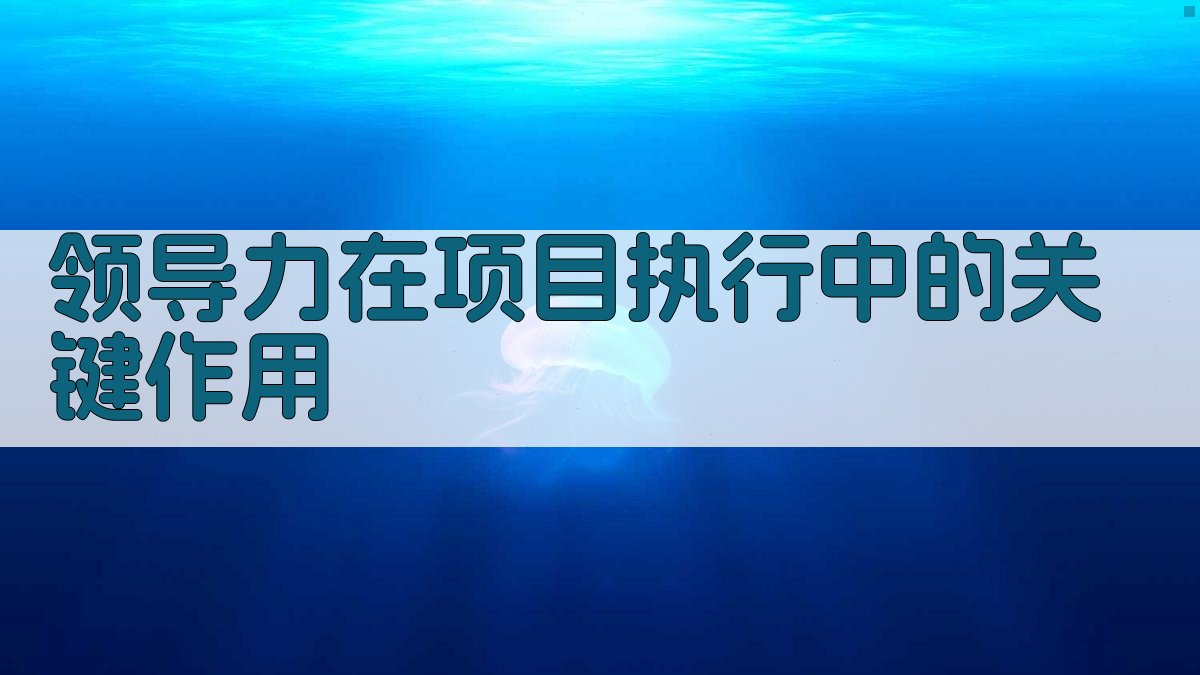 领导力在项目执行中的关键作用 图1