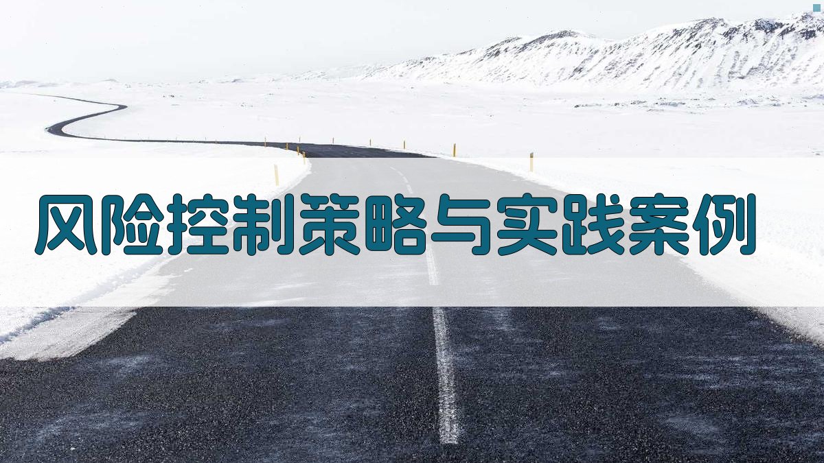 风险控制策略与实践案例 图3