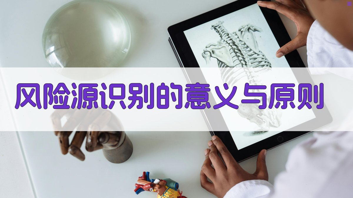 风险源识别的意义与原则 图1