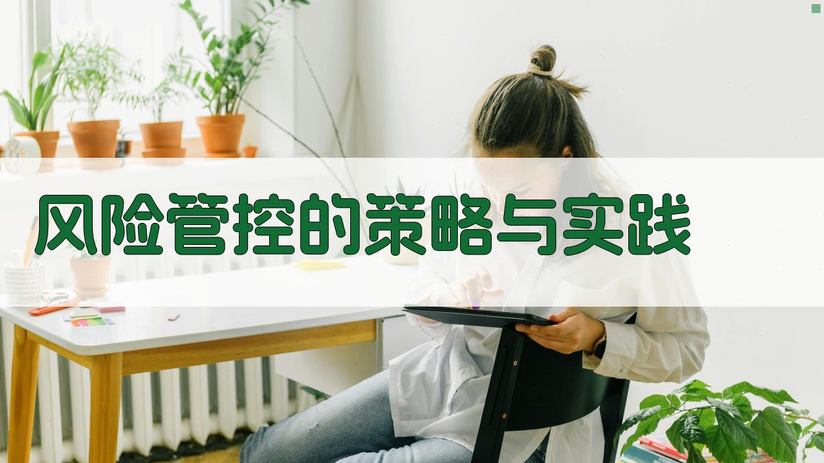 风险管控的策略与实践 图2