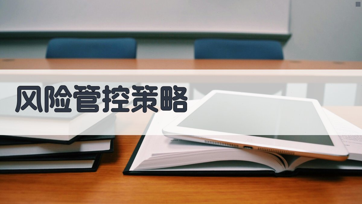 风险管控策略 图1