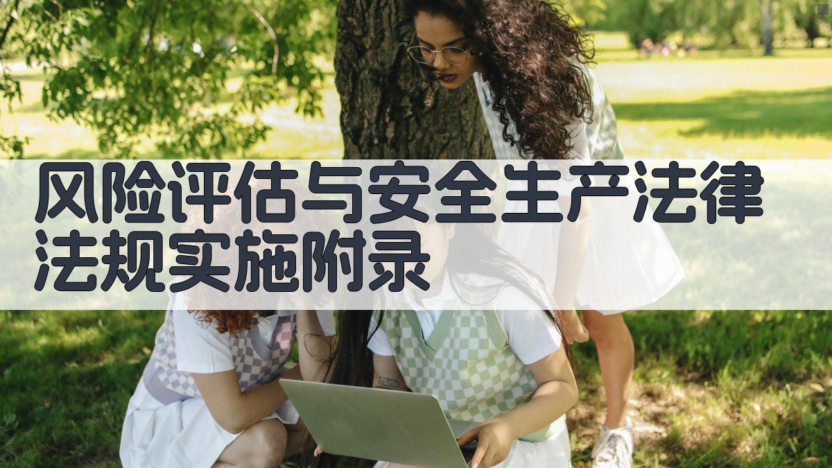 风险评估与安全生产法律法规实施 · 附录 图5