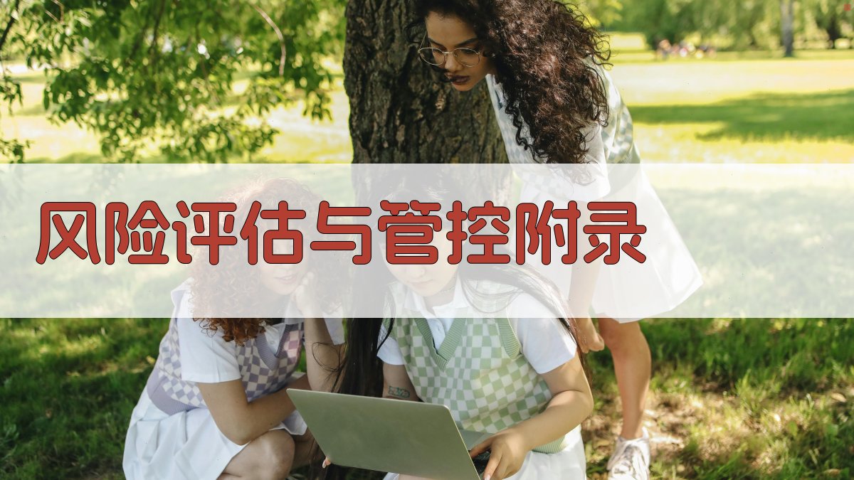 风险评估与管控 · 附录 图4